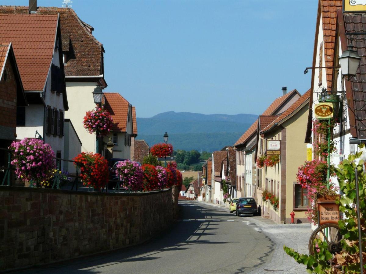Hotel Et Spa Du Scharrach Scharrachbergheim-Irmstett Zewnętrze zdjęcie