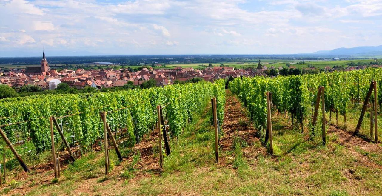 Hotel Et Spa Du Scharrach Scharrachbergheim-Irmstett Zewnętrze zdjęcie