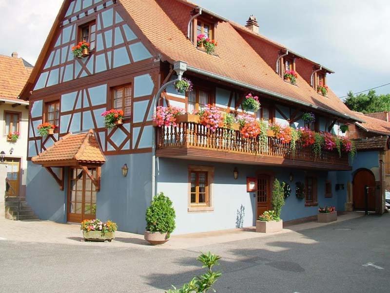 Hotel Et Spa Du Scharrach Scharrachbergheim-Irmstett Zewnętrze zdjęcie